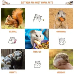 2 Pièces Petite Cage Pour Animaux De Compagnie Hamac Suspendu Tunnel Pour Petits Animaux Suspendus Lit Cage Guinée Hamac Cage Accessoires Pour -Promos Jardin Lumi Magasin 75236473 5