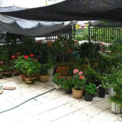 Pare-soleil Imperméable, Protection Solaire, Voile D&39ombrage, Auvent De Camping, Tissu Large Pour Auvent D&39extérieur, Jardin, Patio, 40off,CN 8 Pare-soleil Imperméable, Protection Solaire, Voile D&39ombrage, Auvent De Camping, Tissu Large Pour Auvent D&39extérieur, Jardin, Patio, 40off,CN -Promos Jardin Lumi Magasin 78766855 4