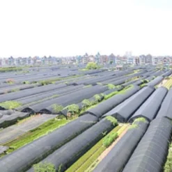 Pare-soleil Imperméable, Protection Solaire, Voile D&39ombrage, Auvent De Camping, Tissu Large Pour Auvent D&39extérieur, Jardin, Patio, 40off,CN 9 Pare-soleil Imperméable, Protection Solaire, Voile D&39ombrage, Auvent De Camping, Tissu Large Pour Auvent D&39extérieur, Jardin, Patio, 40off,CN -Promos Jardin Lumi Magasin 78766855 5