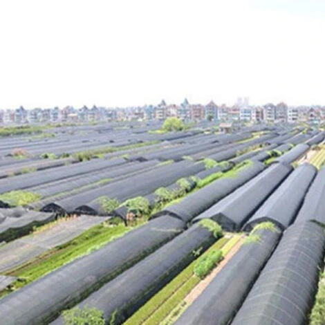 Pare-soleil Imperméable, Protection Solaire, Voile D&39ombrage, Auvent De Camping, Tissu Large Pour Auvent D&39extérieur, Jardin, Patio, 40off,CN 5 Pare-soleil Imperméable, Protection Solaire, Voile D&39ombrage, Auvent De Camping, Tissu Large Pour Auvent D&39extérieur, Jardin, Patio, 40off,CN – Image 5